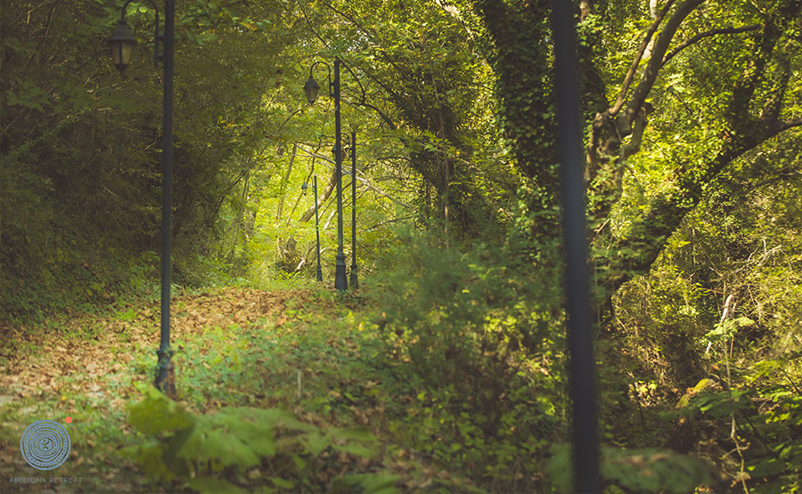 Hike in Apollo Trails